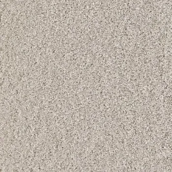 Preview: Draufsicht Girloon Cloud 821 Velours Teppichboden